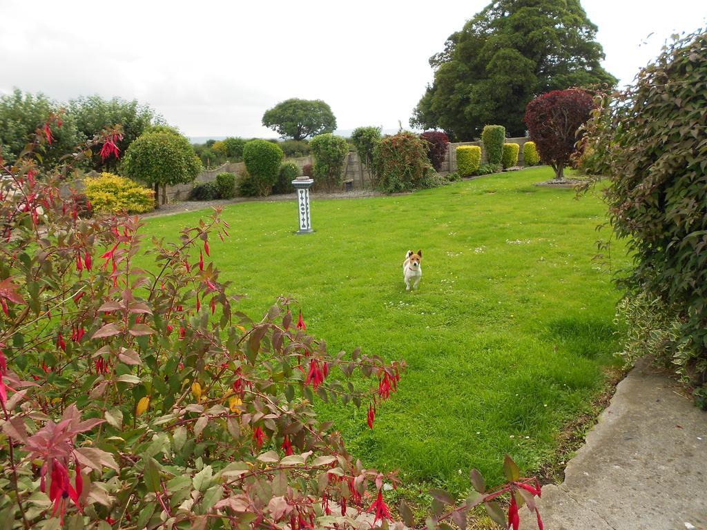 Castlehaven Villa Donaghmore  Kültér fotó